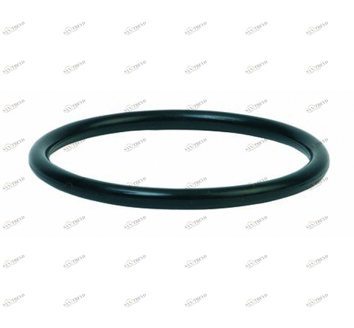 GENEBRE 0061 08 O’ring 