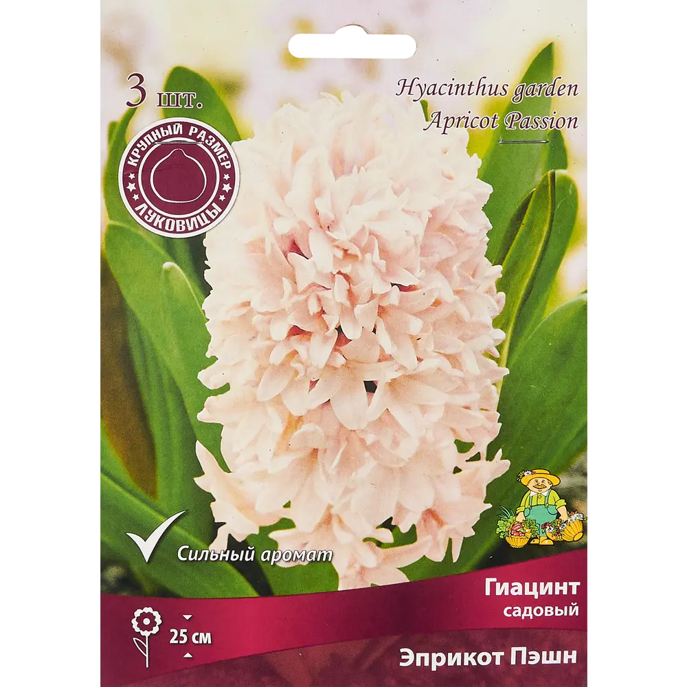 Гиацинт садовый Эприкот Пэшн, 3 шт 85204977 STLM-2135729 ПОИСК 