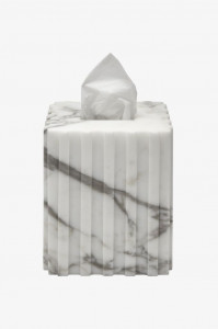 ANTR01 Прямоугольный поднос Андриана Waterworks