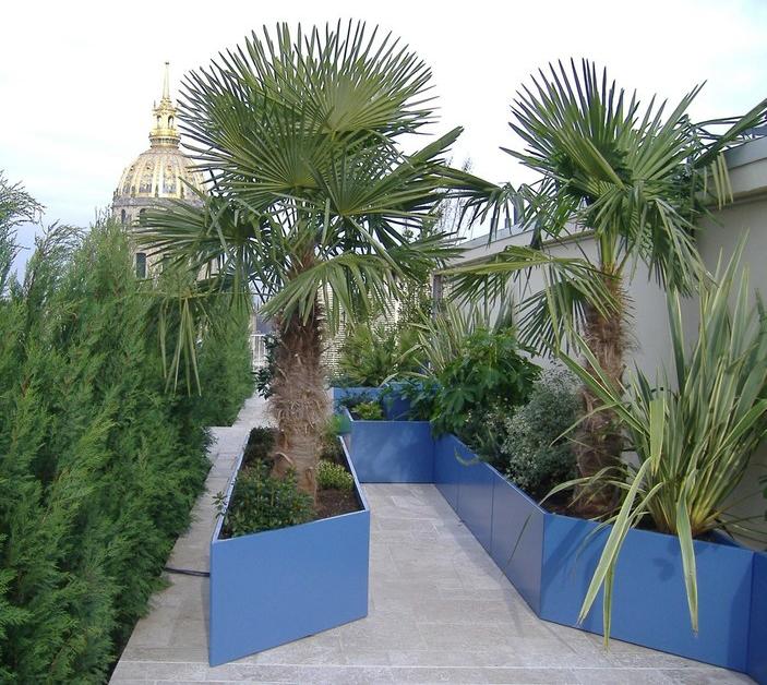 IMAGE'IN Комбинированная сеялка sun-id-1411471 - Вид №12