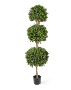 10.43806N Самшит шар Тройной уличный Цветочная коллекция