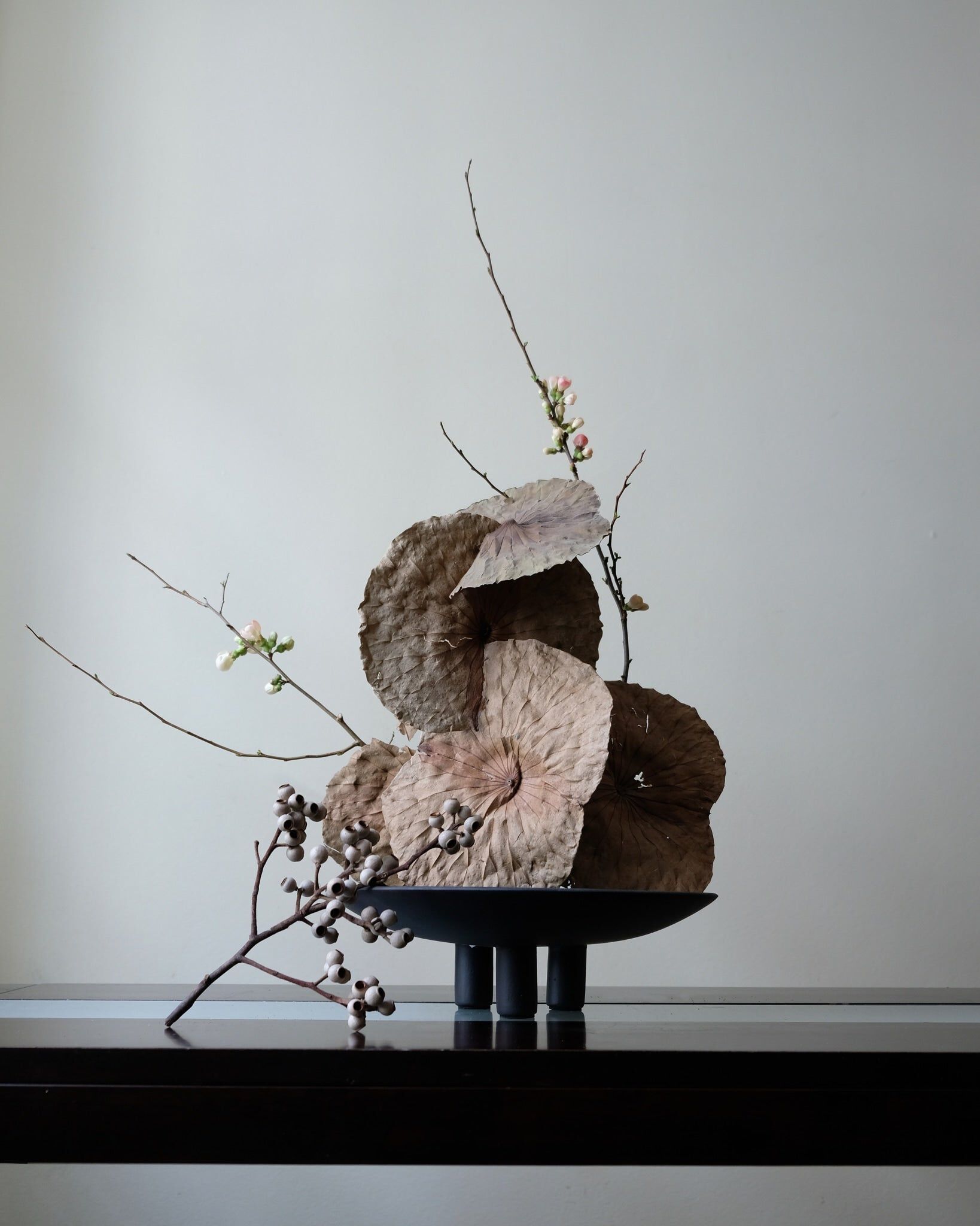 ARCH-00100717 Лоток для хранения яиц 101 Copenhagen Дания утка - Вид №3