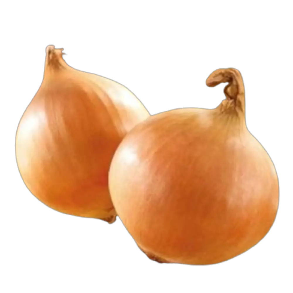 Лук-севок Коррадо F1 10/21 0.45кг Santreyd STLM-2008703