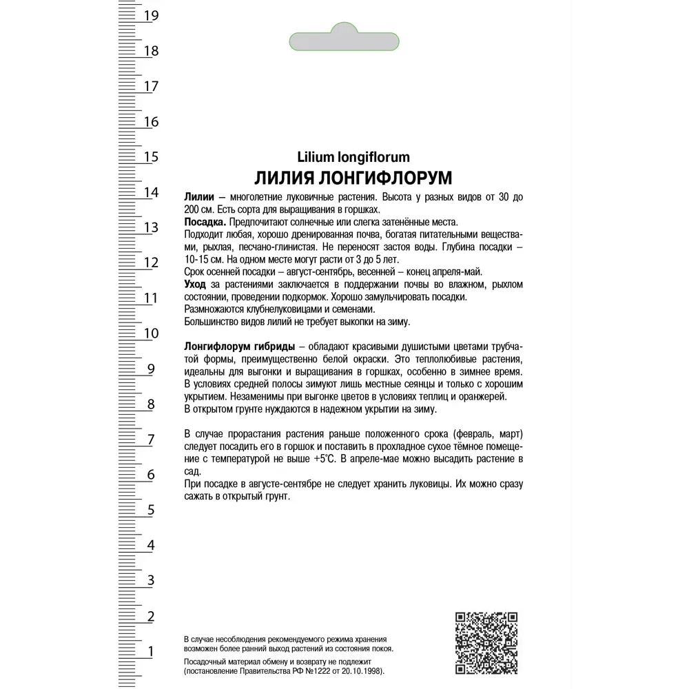 Лилии лонгифлорум «Делиана», размер луковицы 14/16, 1 шт. 82118714 STLM-2173287 Santreyd  - Вид №1