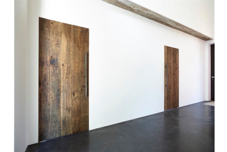 Дверная петля ARLU ARGENTA PIVOTICA PRO E 100 ARCH-00124263 - Вид №2