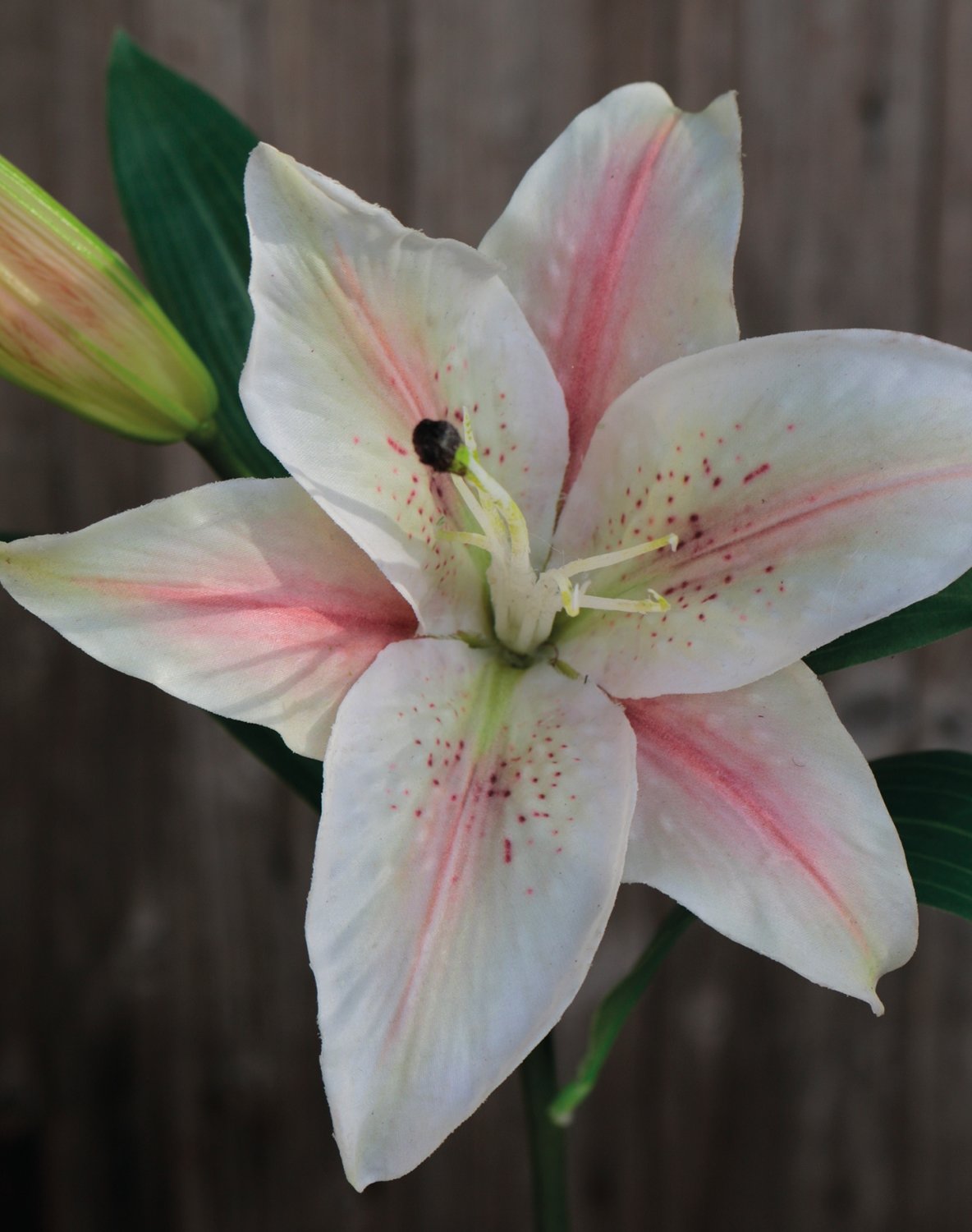 3211 755 a3 Искусственная лилия, 45 см, бежево-розовая H-andreas  - Вид №3