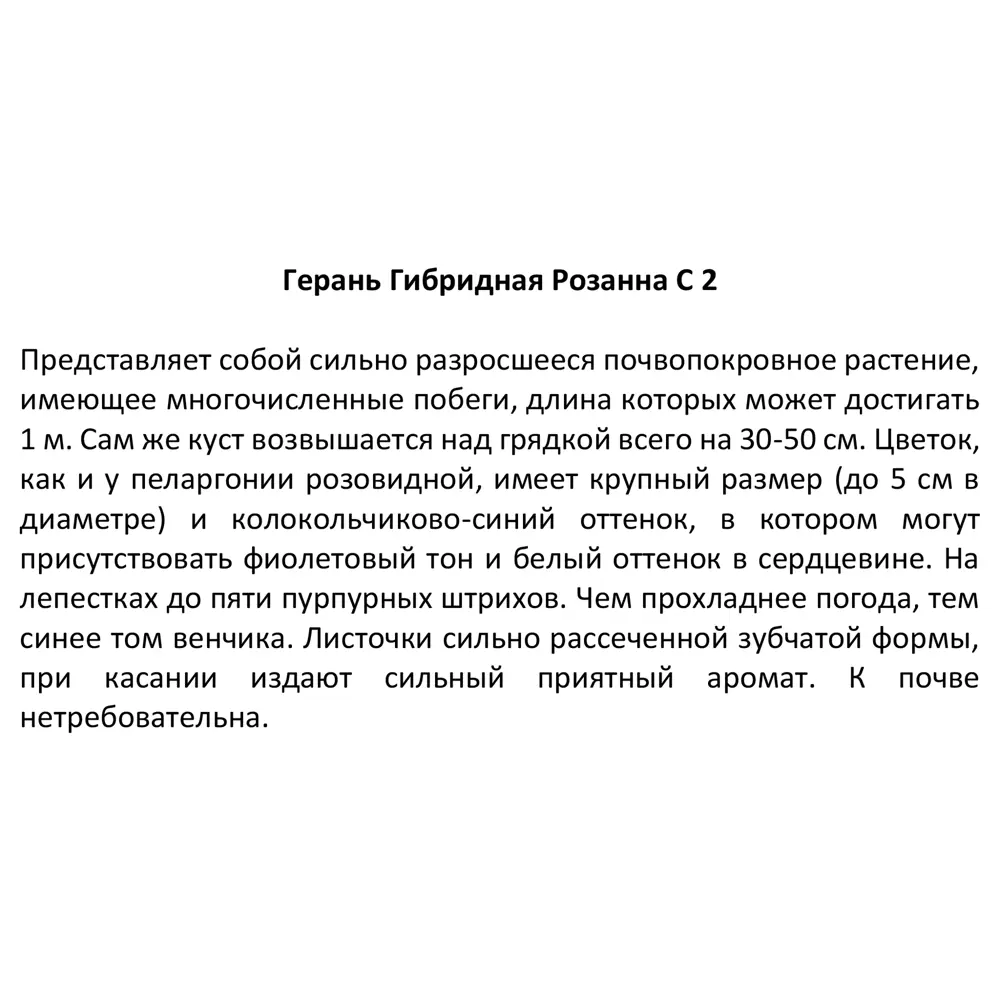 Герань гибридная Розанна ø17 h30 см 85324900 STLM-2019533 Santreyd  - Вид №2