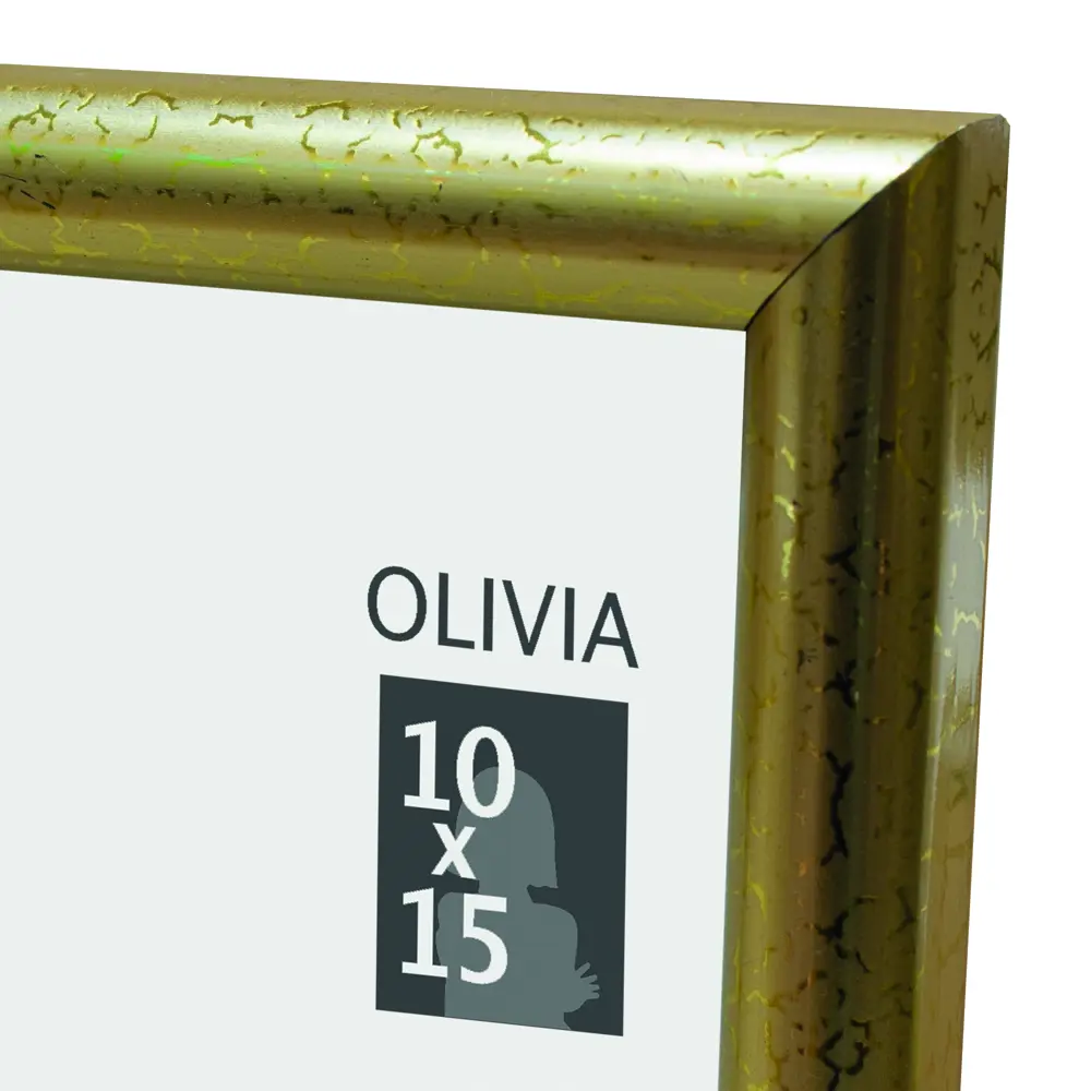 Рамка Olivia 10x15 см пластик цвет золото Santreyd STLM-2146328