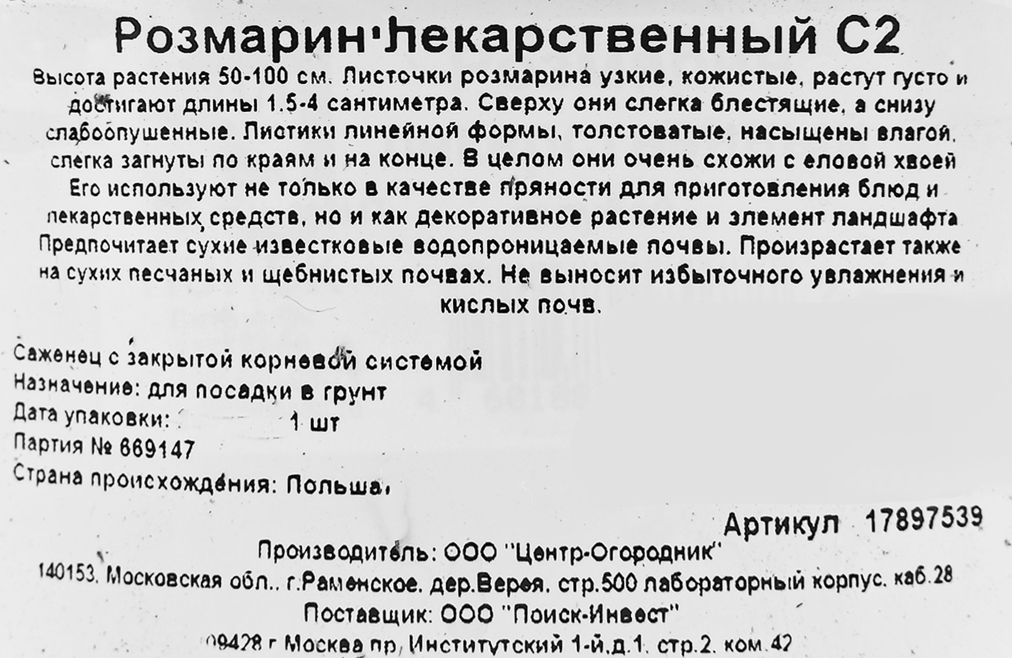 Розмарин лекарственный Santreyd - ароматная пряность для кулинарии и ландшафта 17897539 STLM-0008957 - Вид №1