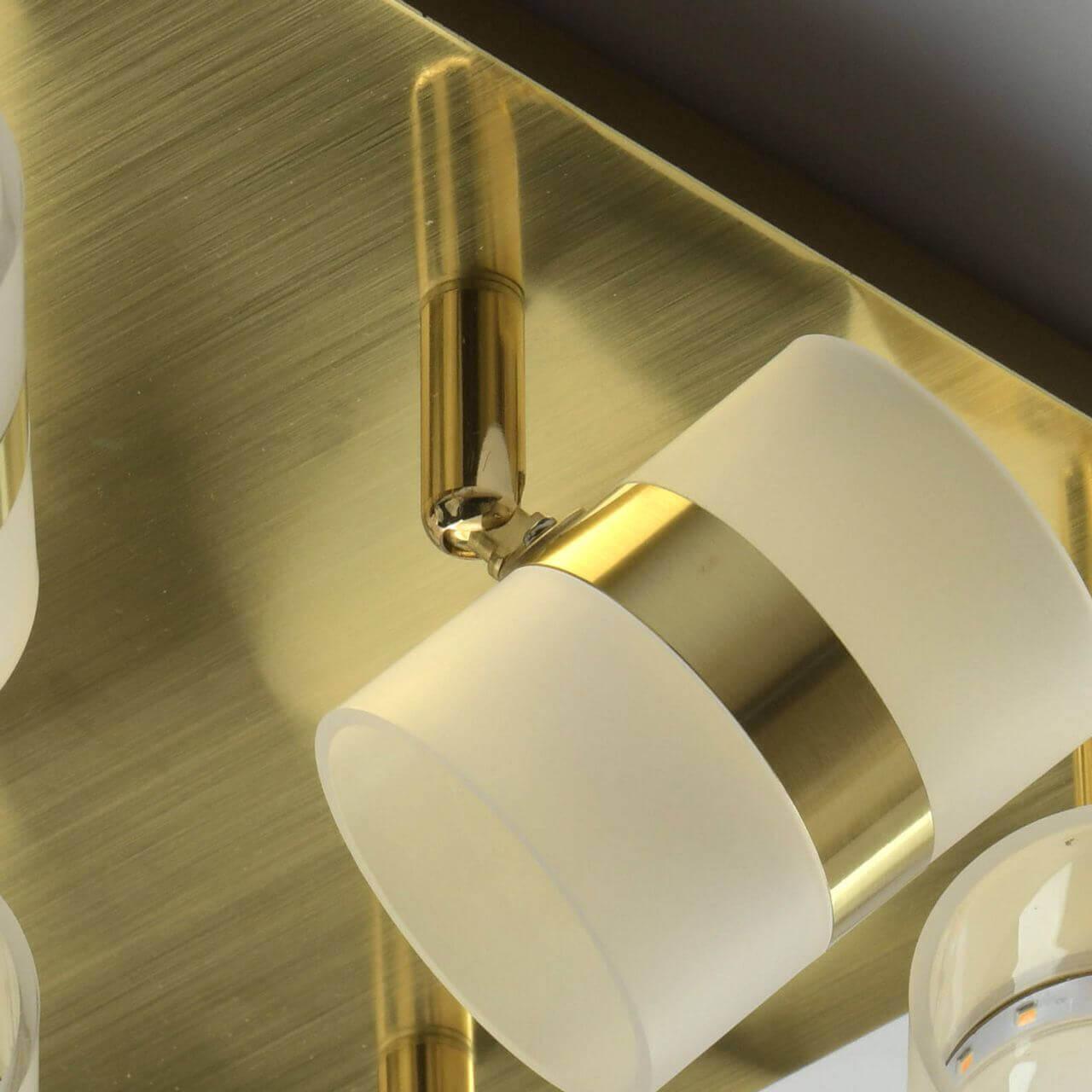 Спот потолочный светодиодный белый "Этингер 1" 704010909 DE MARKT ЭТИНГЕР 1 00-3927144 Белый;золото  - Вид №1