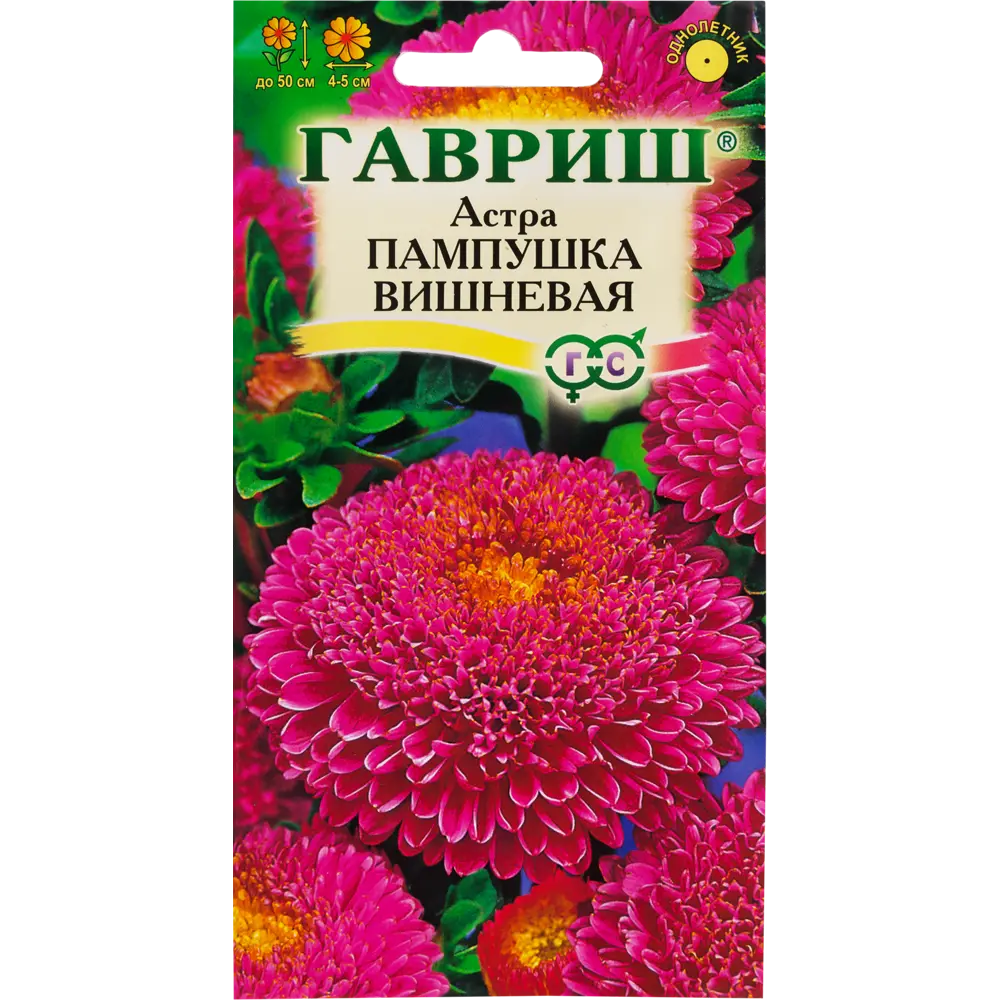 Астра «Пампушка вишнёвая», 0.3 г 82097820 STLM-2028058 ГАВРИШ 