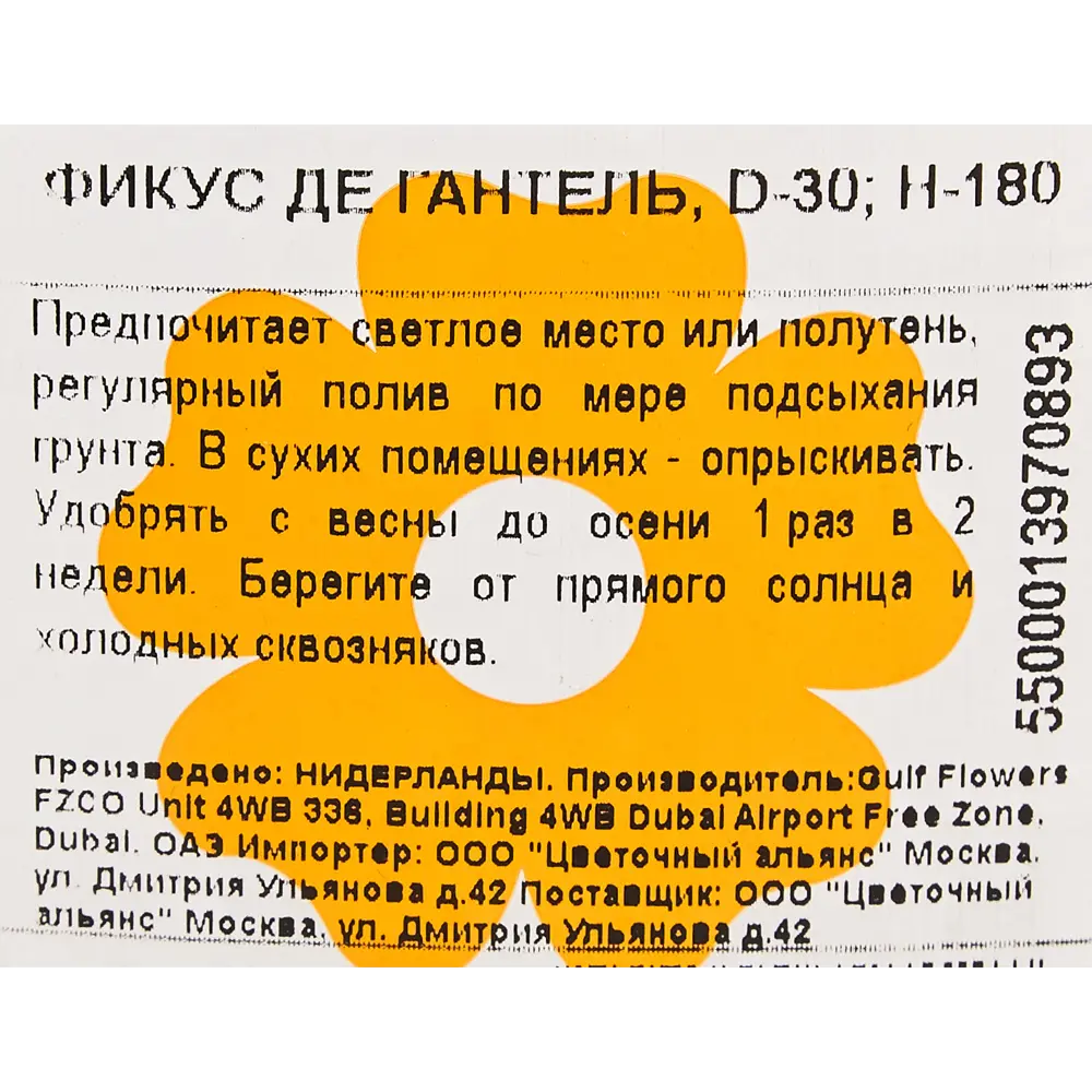 Фикус "Де Гантель" 30x180 см 82849683 STLM-2014215 Santreyd  - Вид №2
