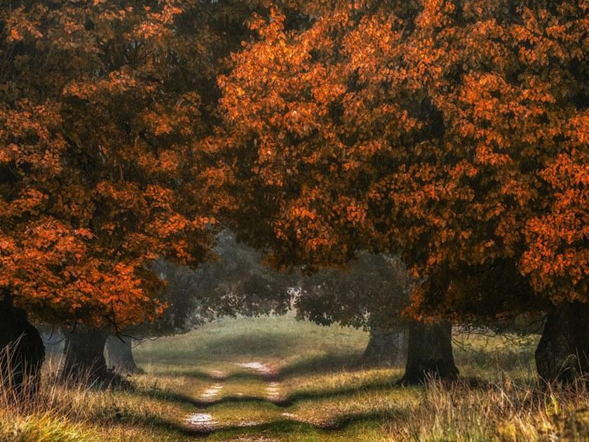 Architects Paper Обои с цифровой печатью с пейзажами Ap digital iv 109270 - Вид №1