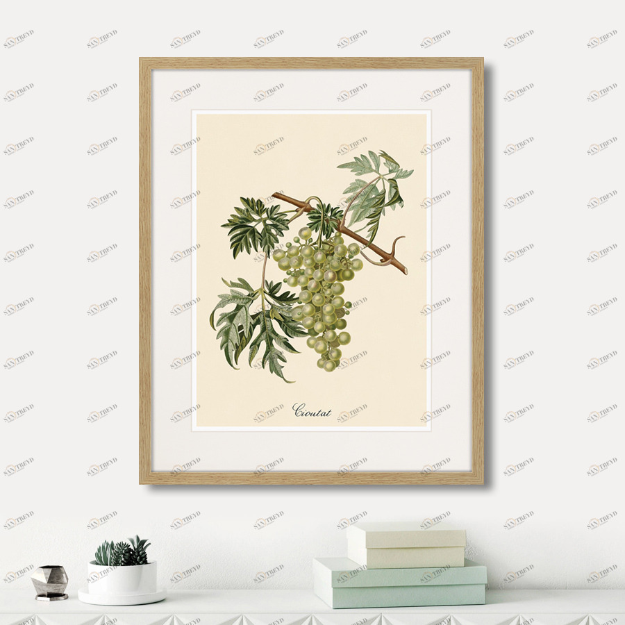 Картина Juicy fruit lithography №13, 1870 г., 42х52 см КАРТИНЫ В КВАРТИРУ  264431 Разноцветный 