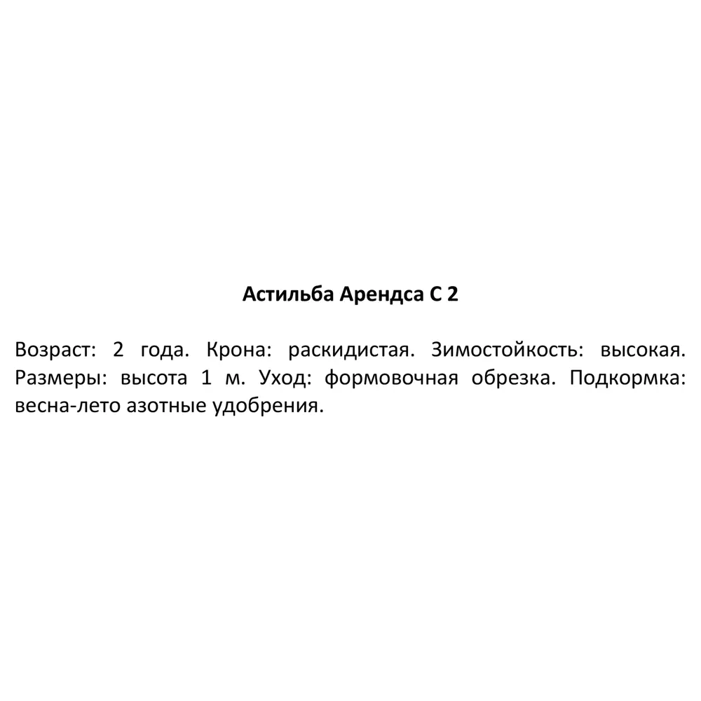 Астильба арендса Сестра Тереза C2 ø15 h30 см 84406448 STLM-2041785 PLANTMARKET  - Вид №1