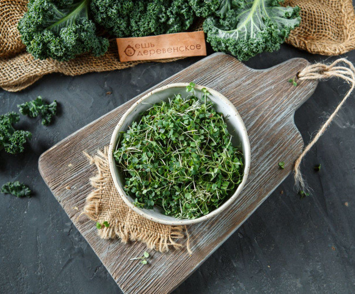 5759 Микрозелень рукколы Вкусляндия 