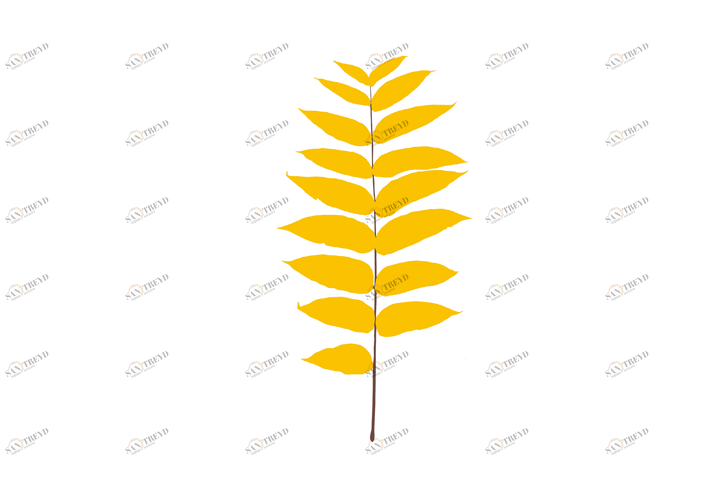 Уходит Magis sun-id-1328985