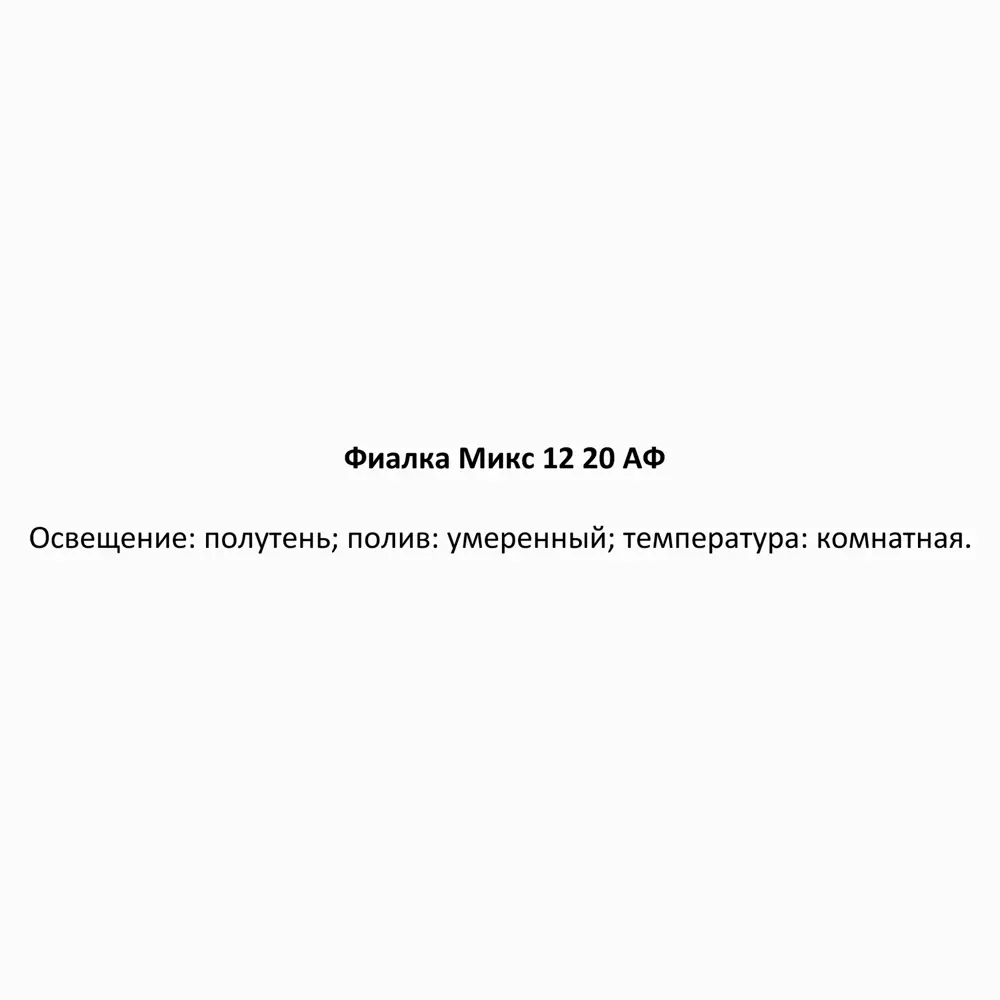 Фиалка микс ø12 h20 см 85324977 STLM-2082492 Santreyd  - Вид №5