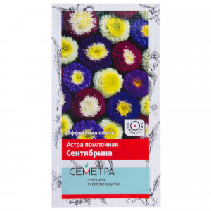 18359118 Астра помпонная «Сентябрина»