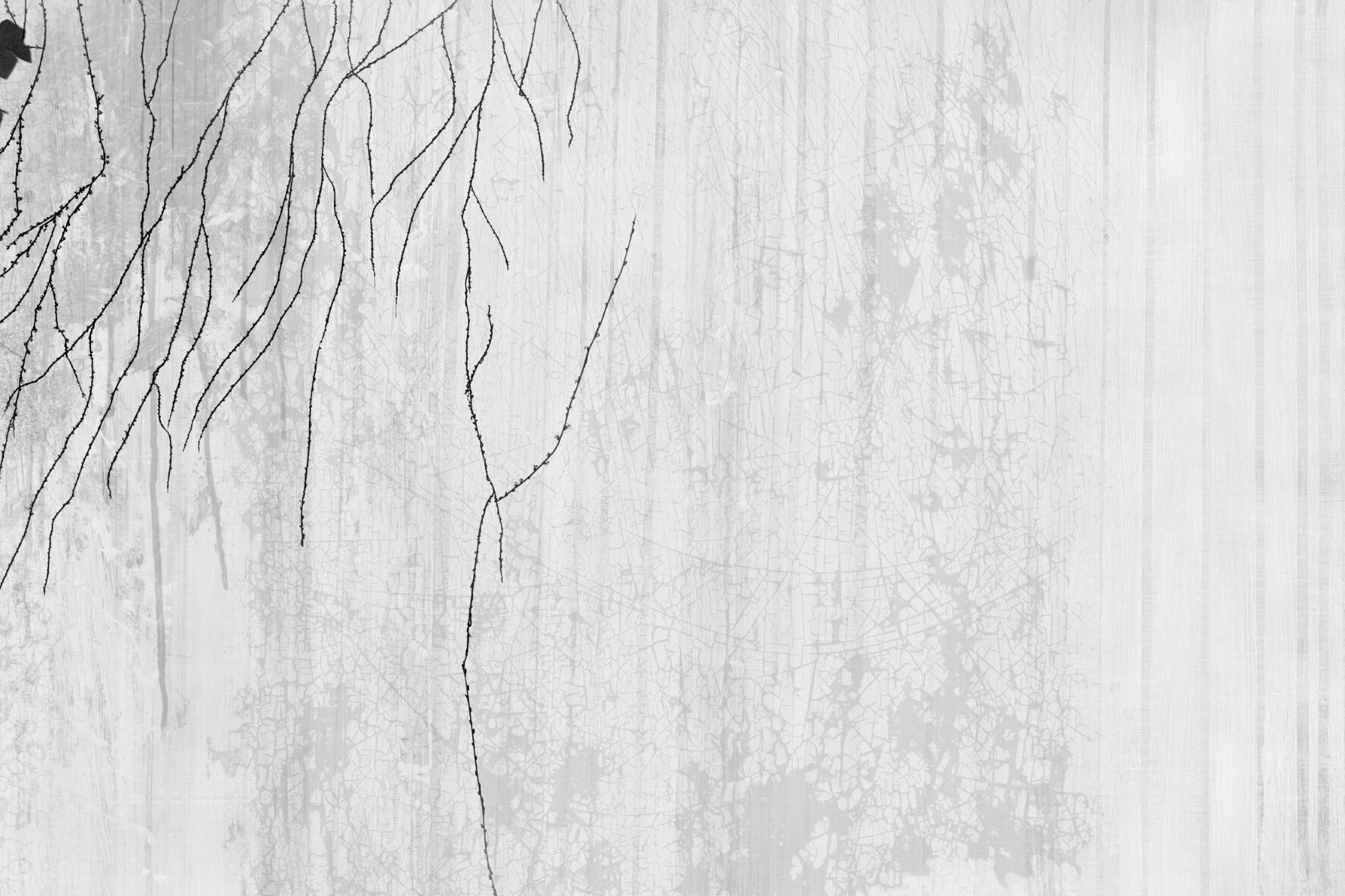 Обои с рисунком GLAMORA A ORIENTE ARCH-00103161 - Вид №2