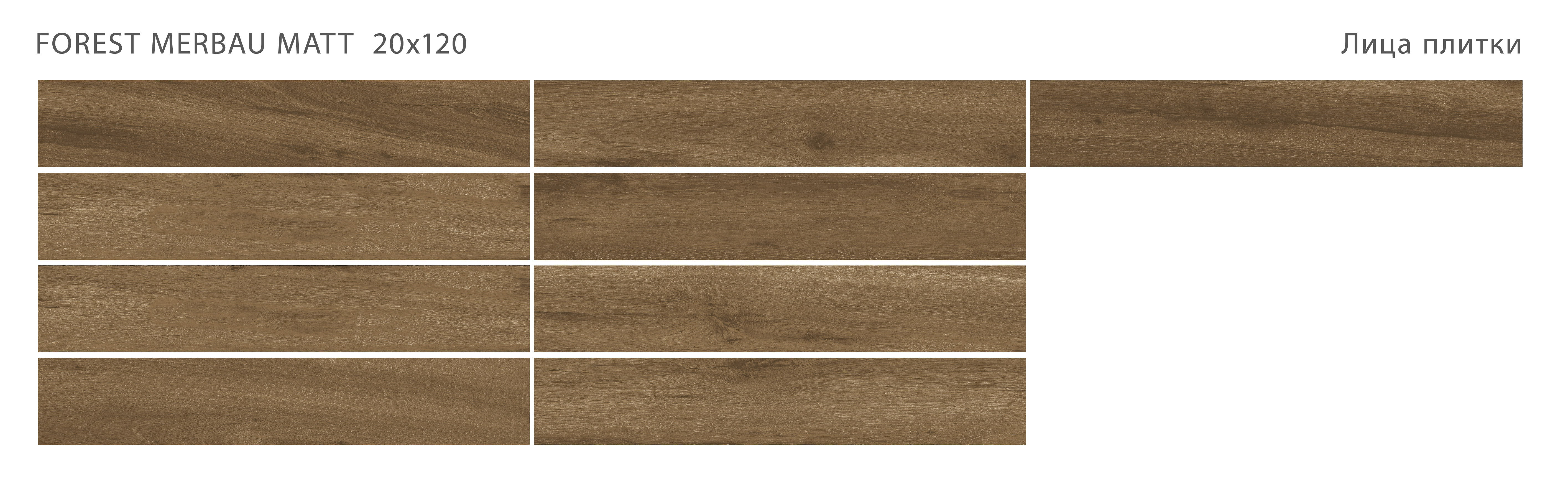 Лесное очарование: керамогранит STAROWOOD Forest STP-ST217 INCOLOR - Вид №1