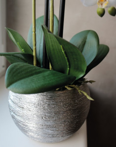 2778 778 a3 Пластиковая орхидея Phalaenopsis, 3-х кратная, горшечная, 55 см, real touch, бежево-белая H-andreas