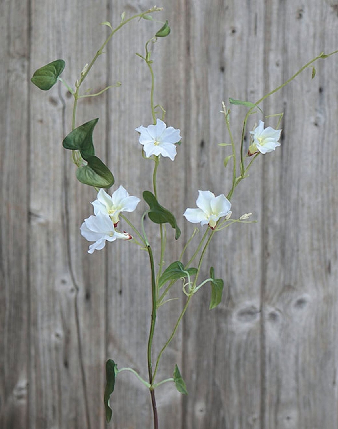 3620 778 a2 Ветка петунии искусственная, 90 см, бежево-белая H-andreas  - Вид №1