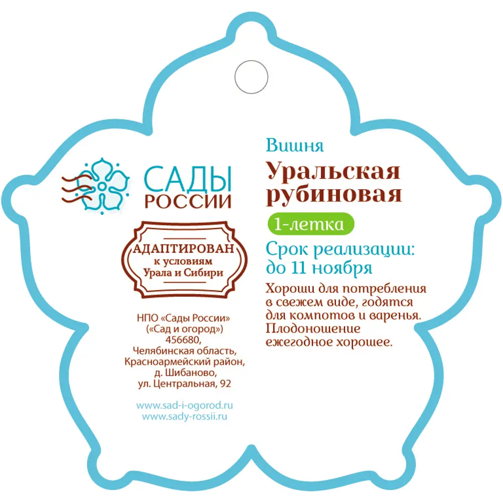 Вишня «Уральская рубиновая» 1 год 12.5x30-50 см 82610416 STLM-2157098 Santreyd  - Вид №1