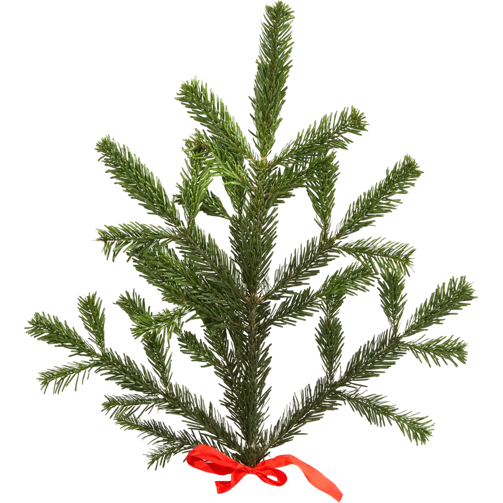 Ветка Пихты живая срезанная 30-60 см Santreyd STLM-2075447