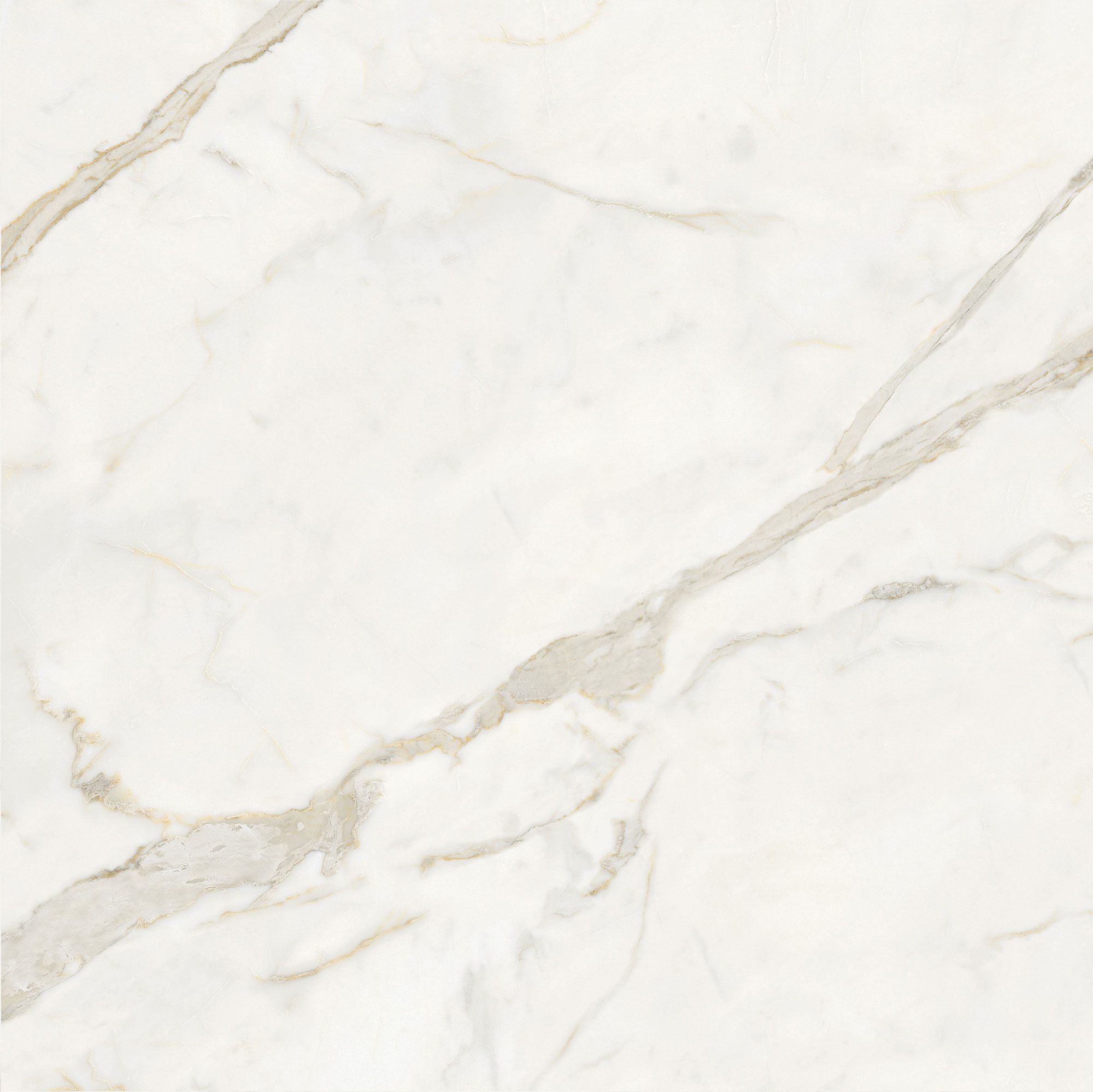Пол / керамогранит с мраморным эффектом Italgraniti Marble Touch ARCH-00152884 - Вид №25