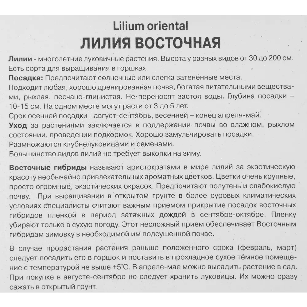 Лилия восточная Мах Лотус Уандер 85205755 STLM-2050582 ПОИСК  - Вид №2
