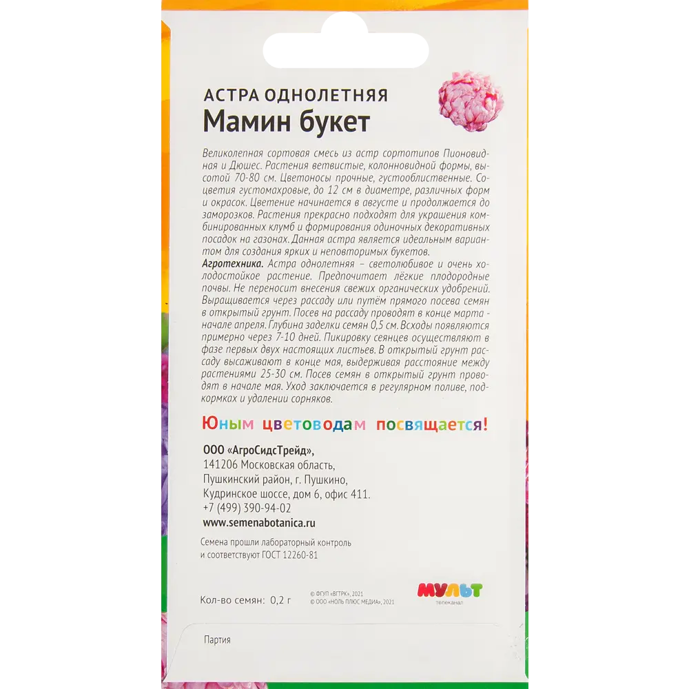 Астра Ми-ми-мишки Мамин букет АГРОСИДСТРЕЙД STLM-2088645 - Вид №1