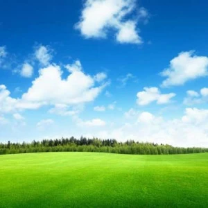 WP01381 Фотообои Verol Фотообои decoline 1х1 м