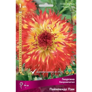 Георгины бахромчатые Пайнлендс Пэм 82530138 STLM-2042976