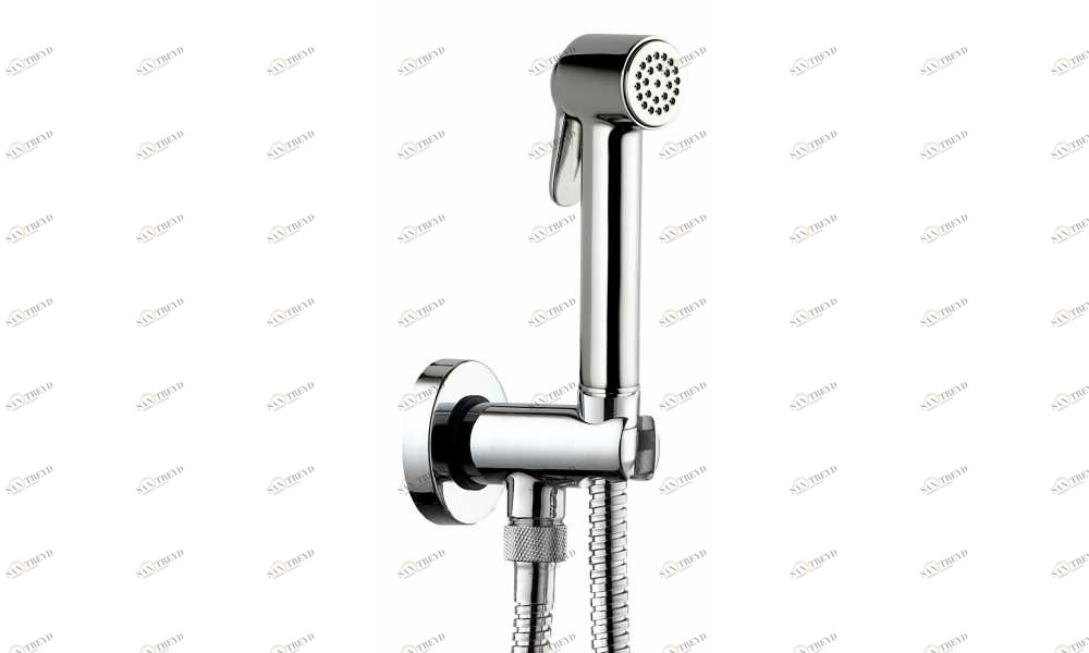 C69038 Гигиеническая лейка PALOMA BRASS SET BOSSINI 