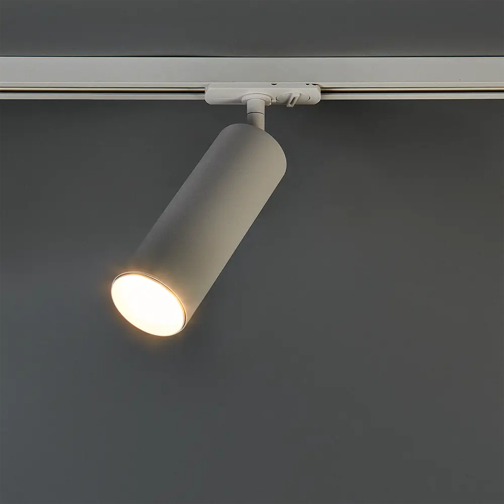 Arte Lamp Beid - трековый светильник с поворотным плафоном 87493355 STLM-1504824 - Вид №1