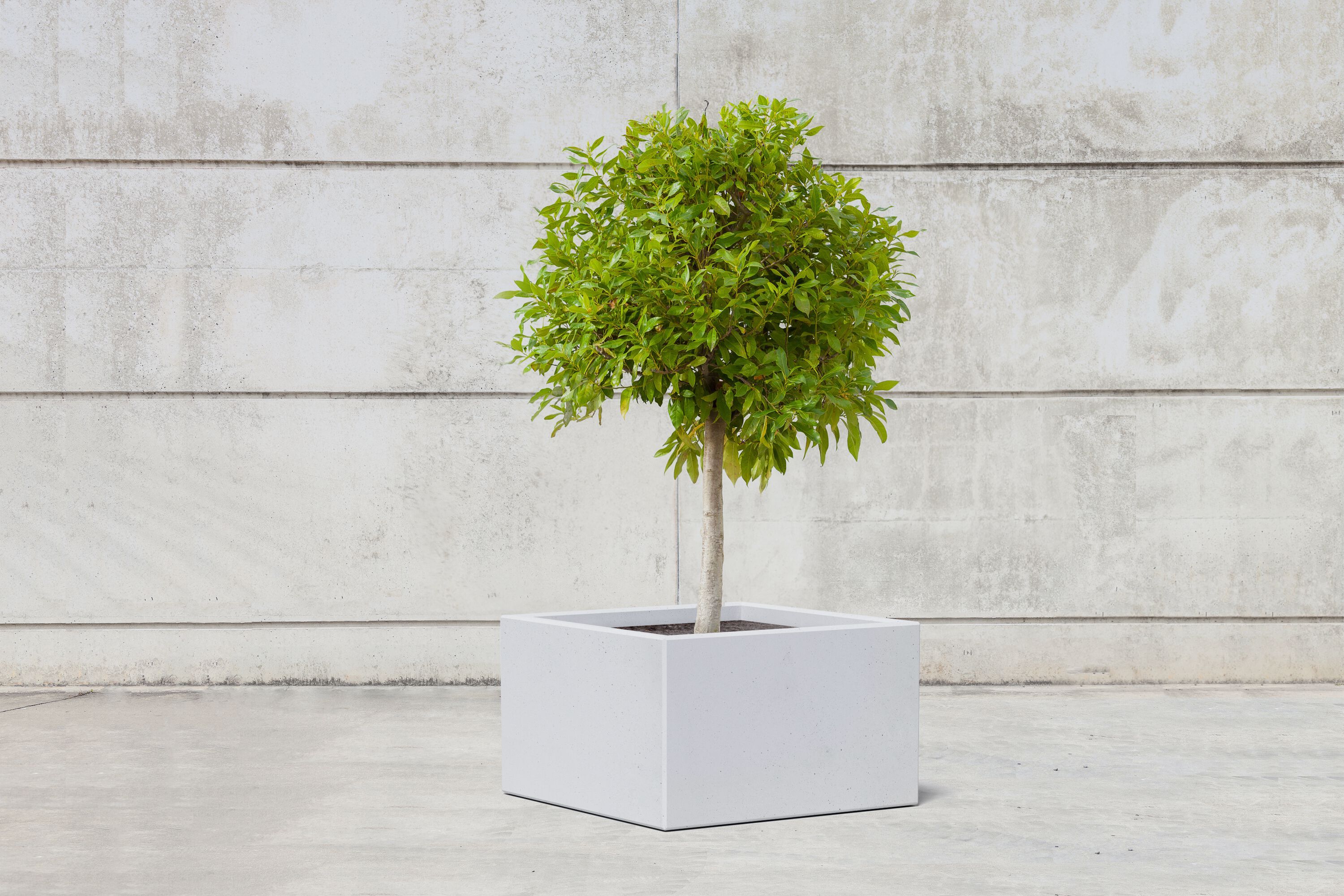 Квадратный плантатор из армированного волокном бетона SIT Cubic ARCH-00079442 - Вид №15