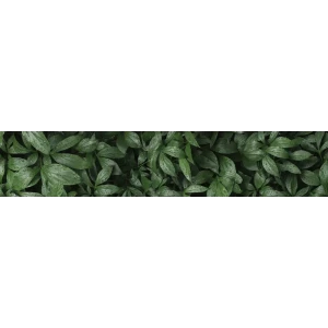 Стеновая панель Botanical Gar 300x0.4x60 см алюминий цвет зеленый 89199583 STLM-2079049
