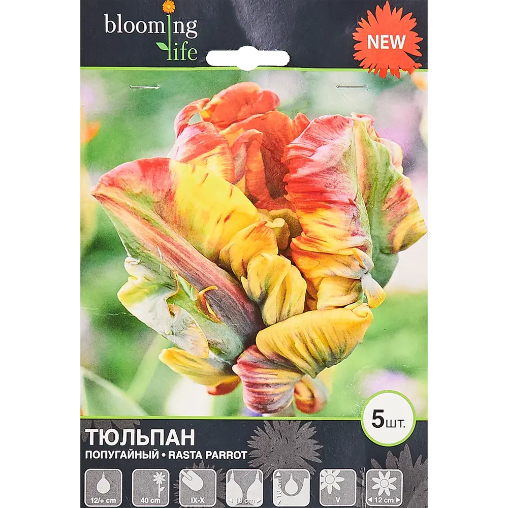 Тюльпан «Раста Перрот» размер луковицы 12, 5 шт. 82665849 STLM-2179918 BLOOMING LIFE 