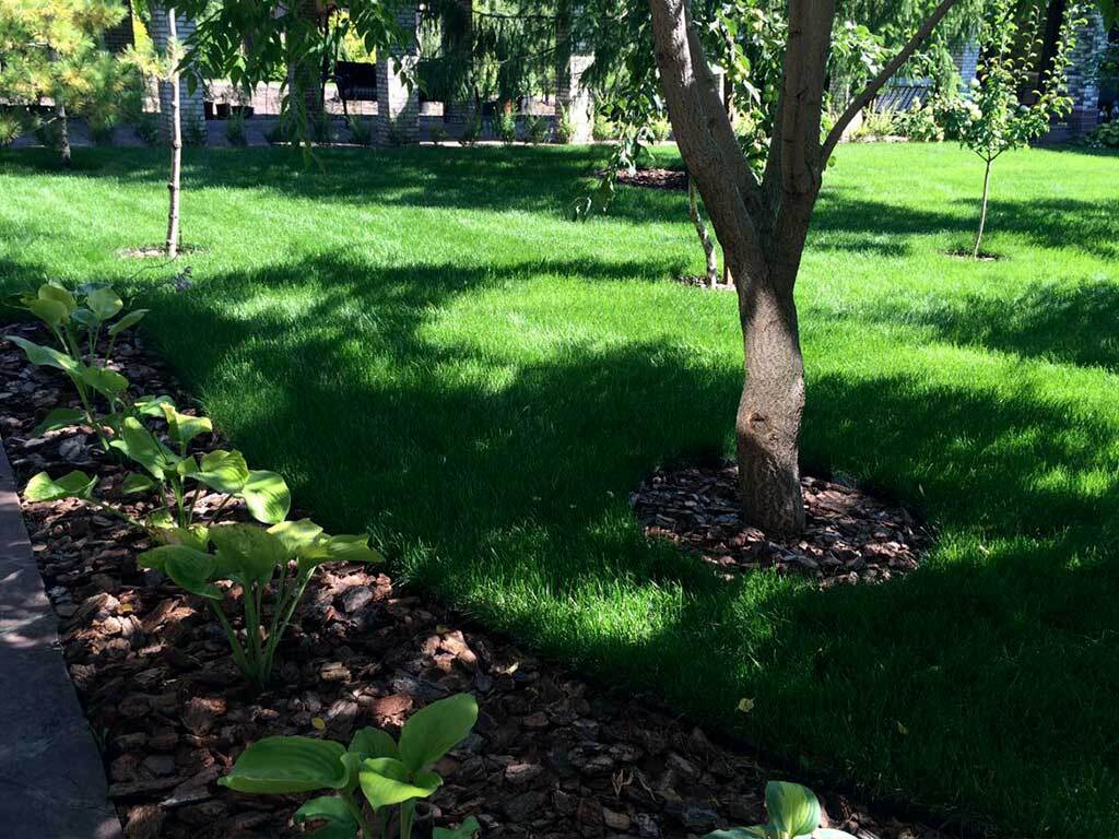 Пластиковый бордюр 45 мм, длина 1 м, зелёный ГеоПластБорд GPBST-33 - Вид №6