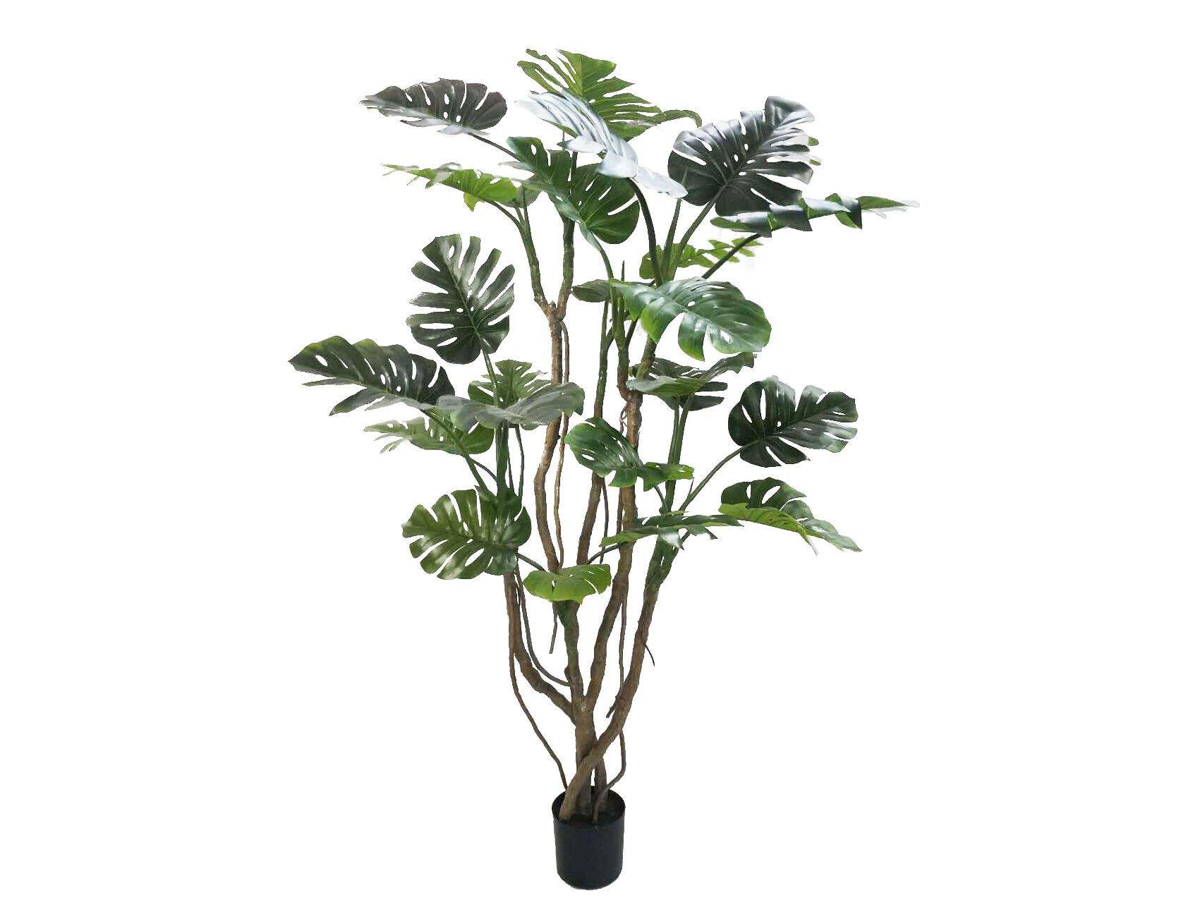 Искусственное растение BIZZOTTO MONSTERA ARCH-00067247 - Вид №1