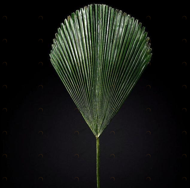 VGnewtrend Искусственное растение  1040744.60 