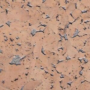 Пробка Wicanders Dekwall Hawai Black Oyster (Гладкая) 600х300 мм.