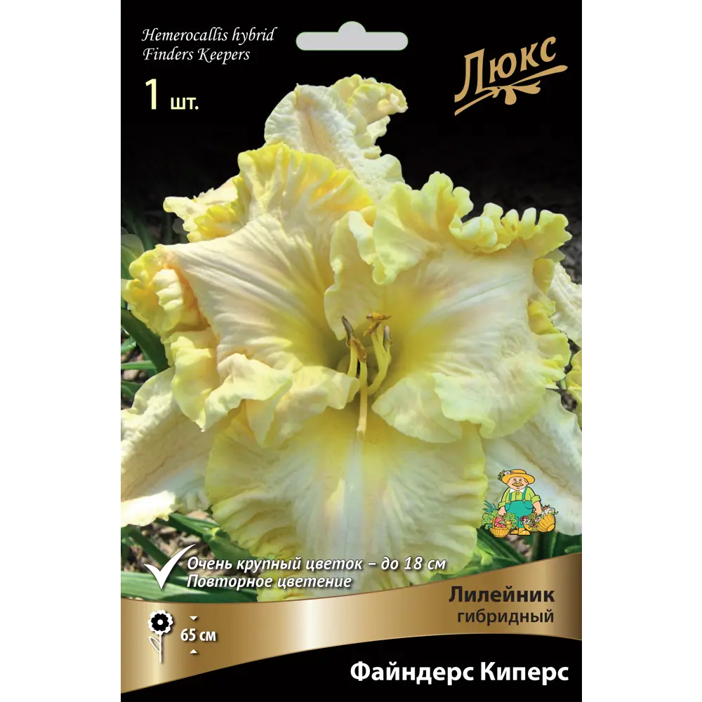 Лилейник гибридный «Файндерс Киперс» разбор I 82661835 STLM-2114539 Santreyd 
