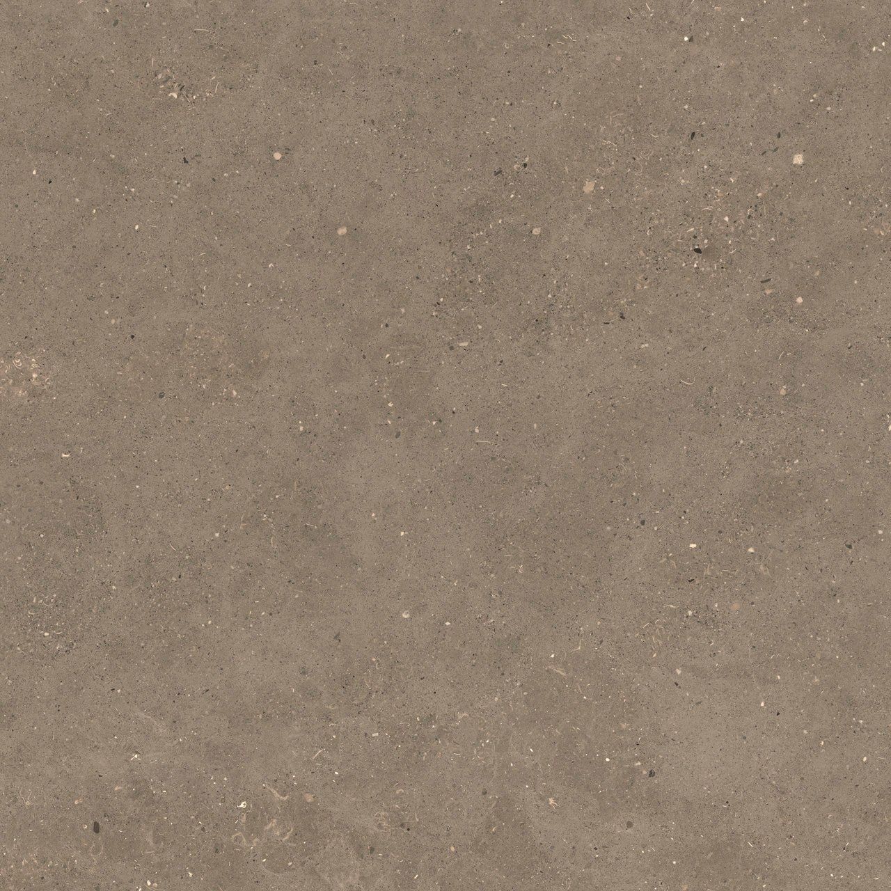 Пол / облицовка керамогранита с эффектом камня Fiandre сплошная ARCH-00006905 - Вид №12