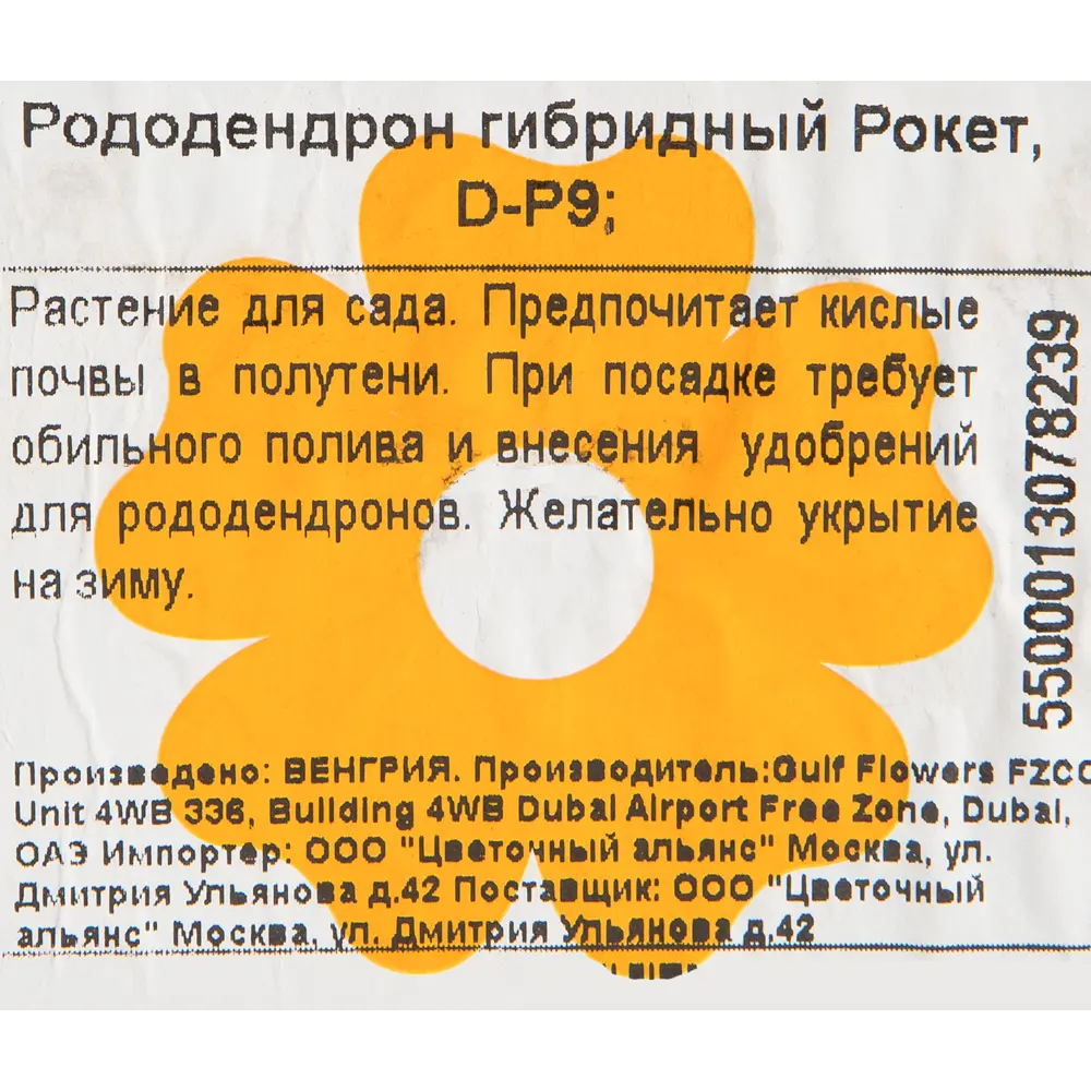 Рододендрон гибридный «Рокет» 9x20 см 82601846 STLM-2154441 Santreyd  - Вид №1