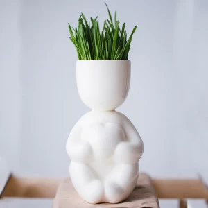 Набор для выращивания eco Романтик ЭКОЧЕЛОВЕКИ  254581 Белый