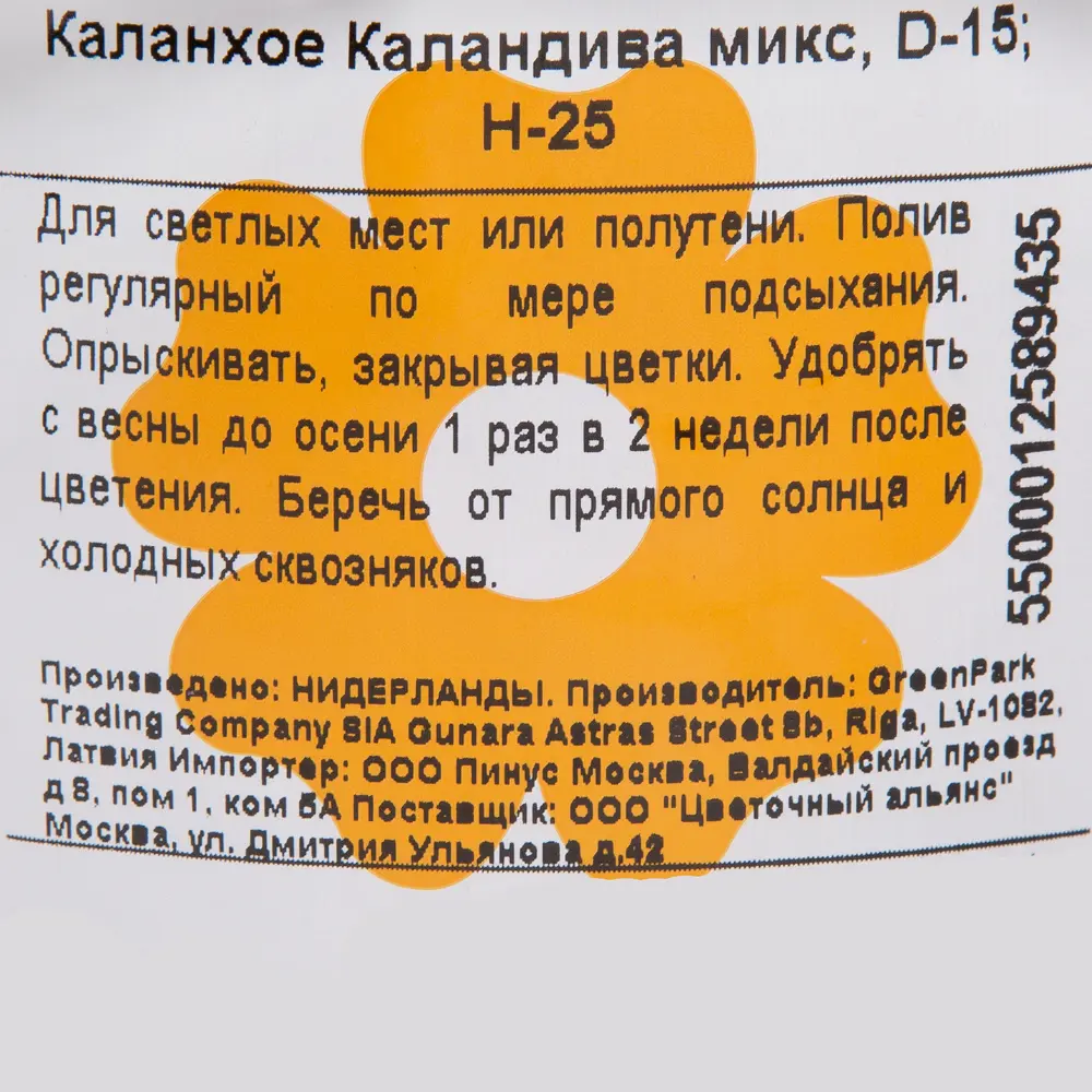 Каланхое Каландива микс 15x25 см 82399680 STLM-2179803 Santreyd  - Вид №2