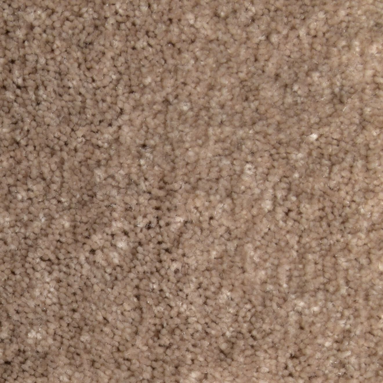 Ковер / Ковер Ademi Резка по запросу - от стены до стены (внутри помещений) ARCH-00117487 - Вид №7