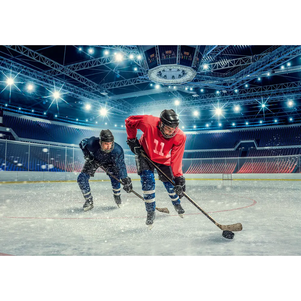 Фотообои «Легенды хоккея» 200х140 см Santreyd STLM-2023139